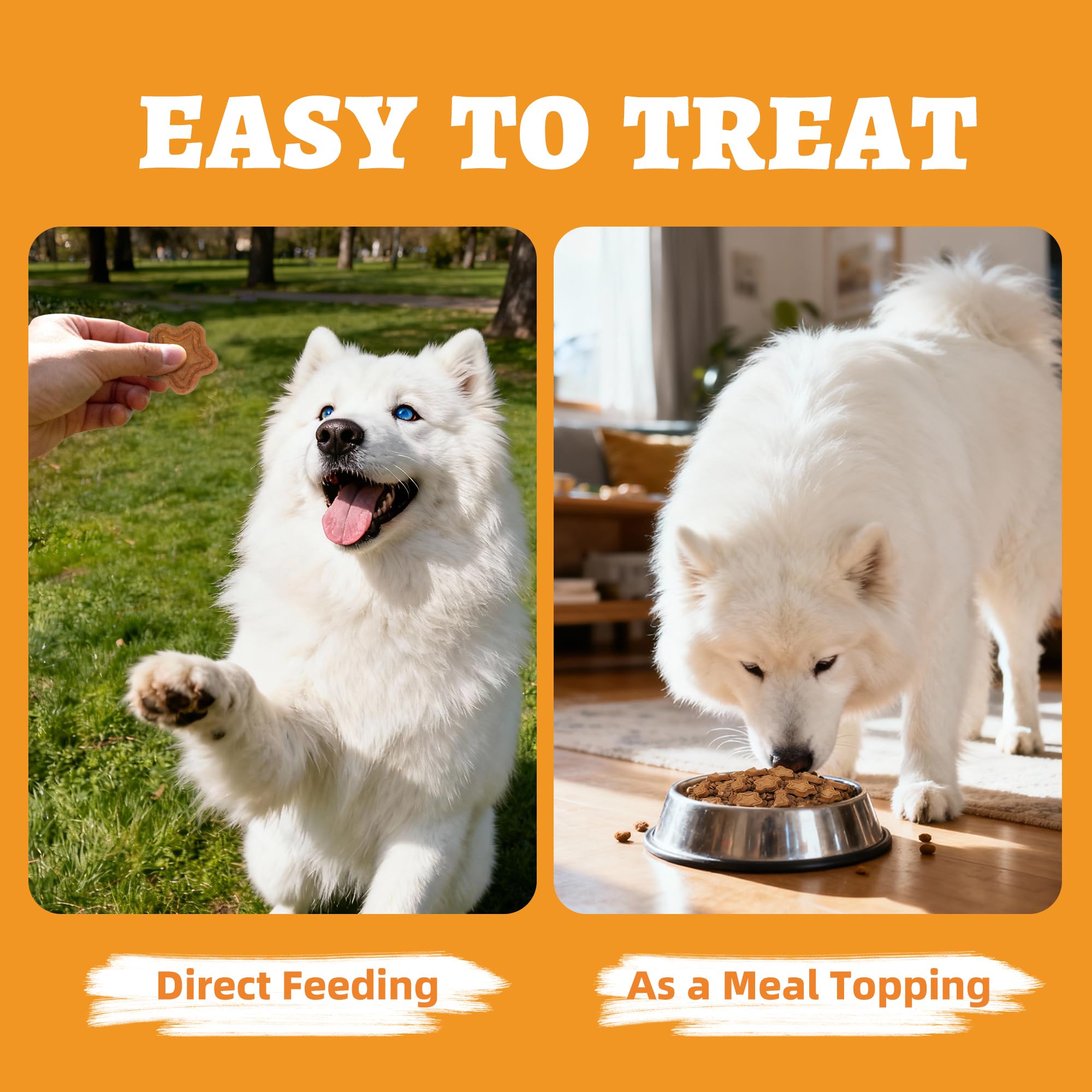 Just Try ingrédients naturels biscuits chien — formule simple sans artificiels pour le bien-être.