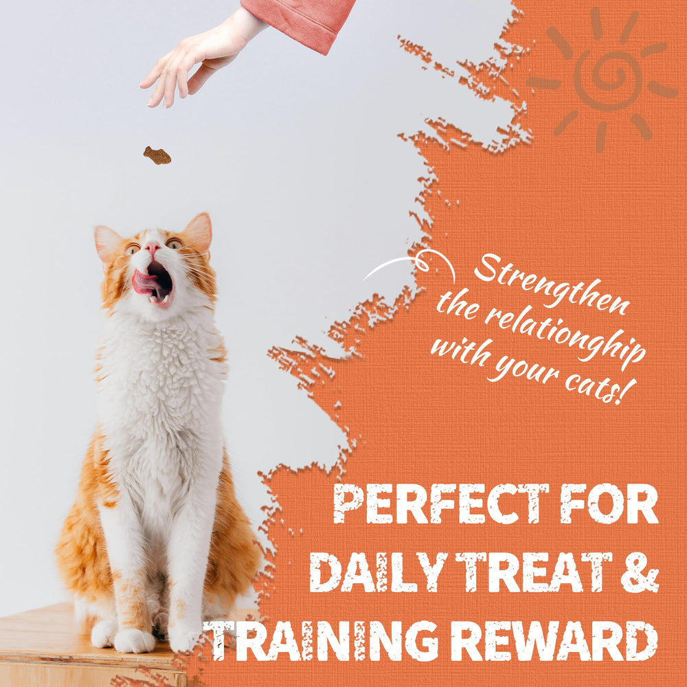 Just Try Lysine Cat Treats adapté aux chats d'âges variés et chatons.
