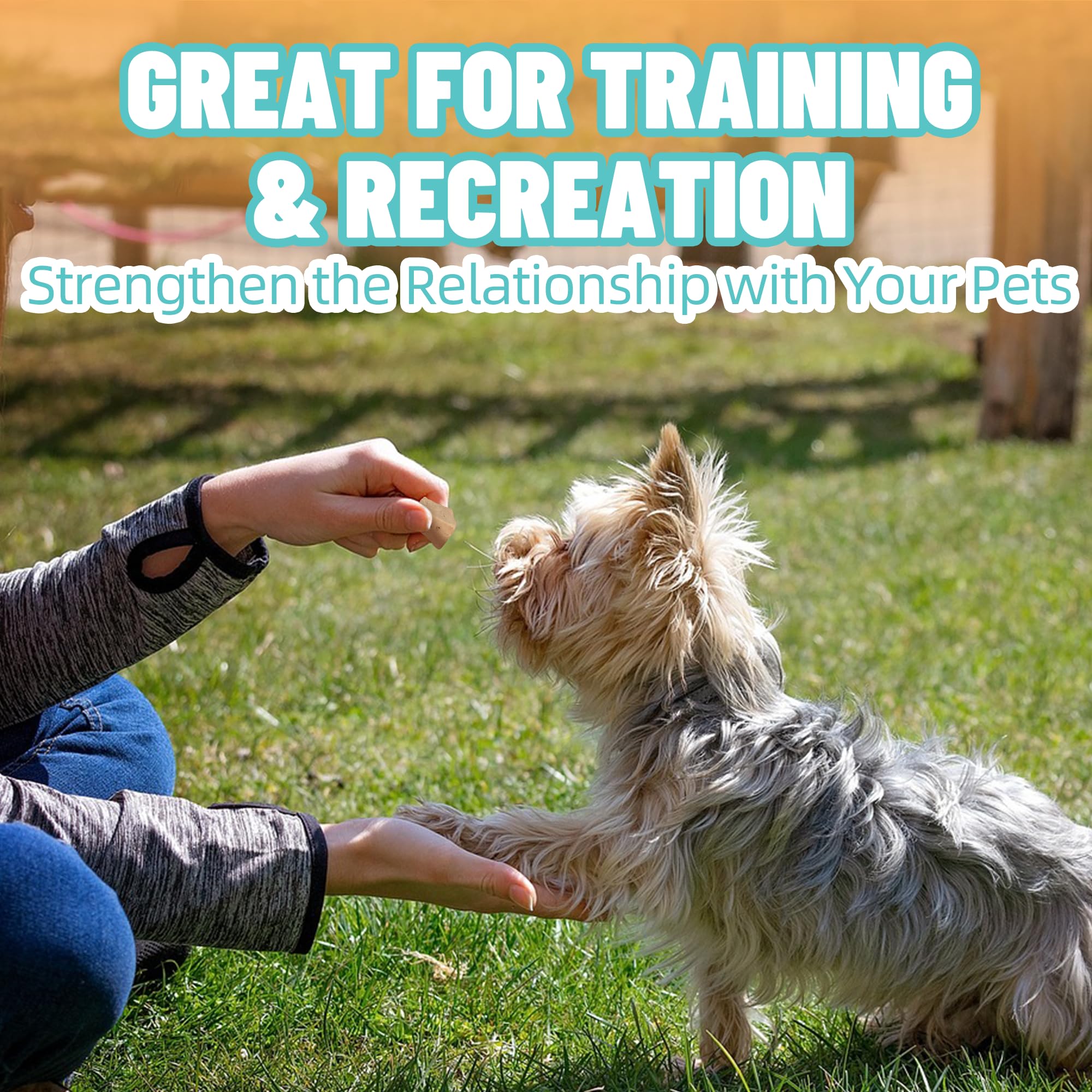Just Try récompense d'entraînement pour chiens et chats.
