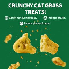 Friandises saumon croquantes Just Try pour récompenser votre chat.
