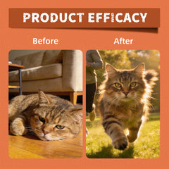 Just Try Taurine chat — bouchée poulet, texture croquante aidant l'hygiène dentaire.