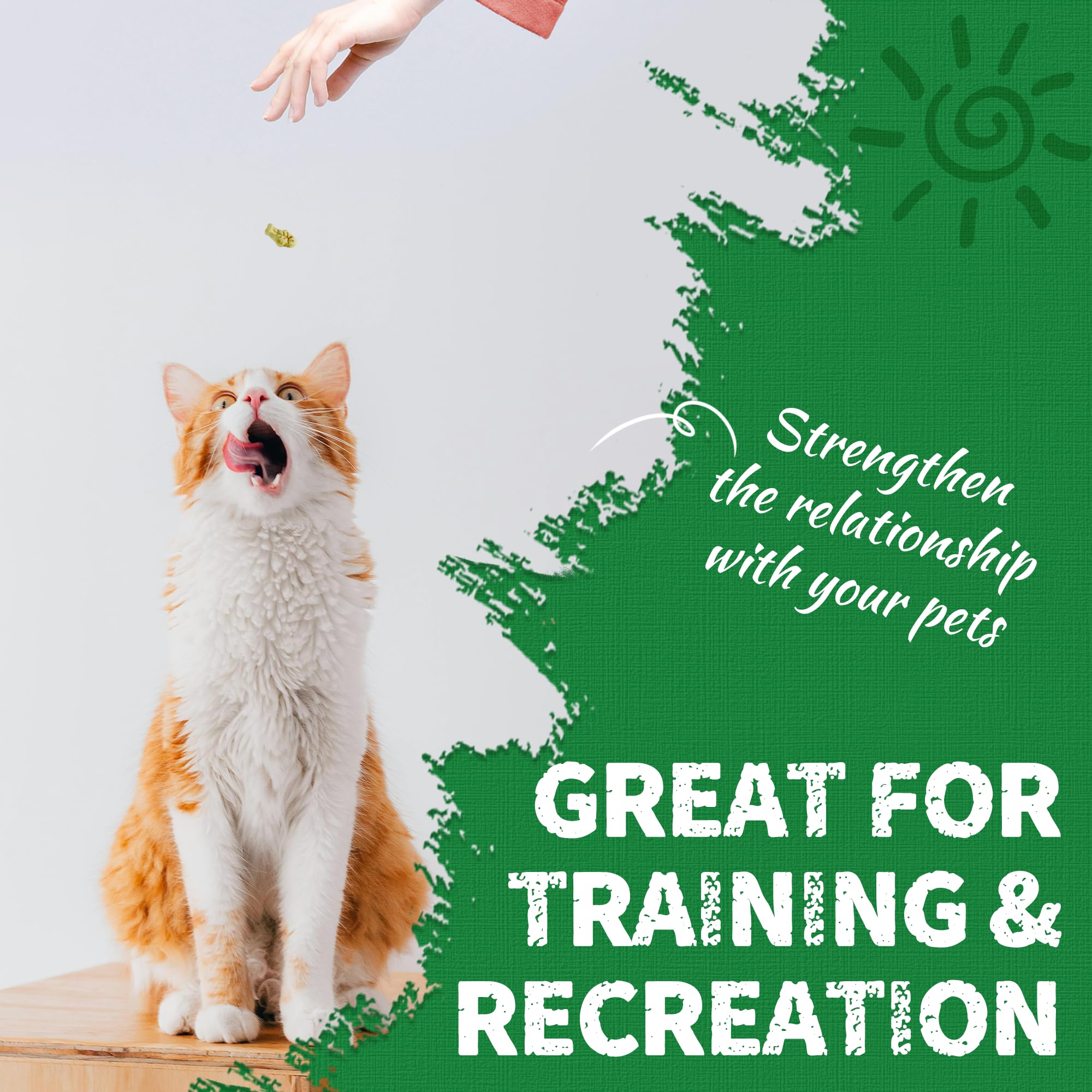 Récompense Just Try pour chats adultes et chatons, option légère et savoureuse