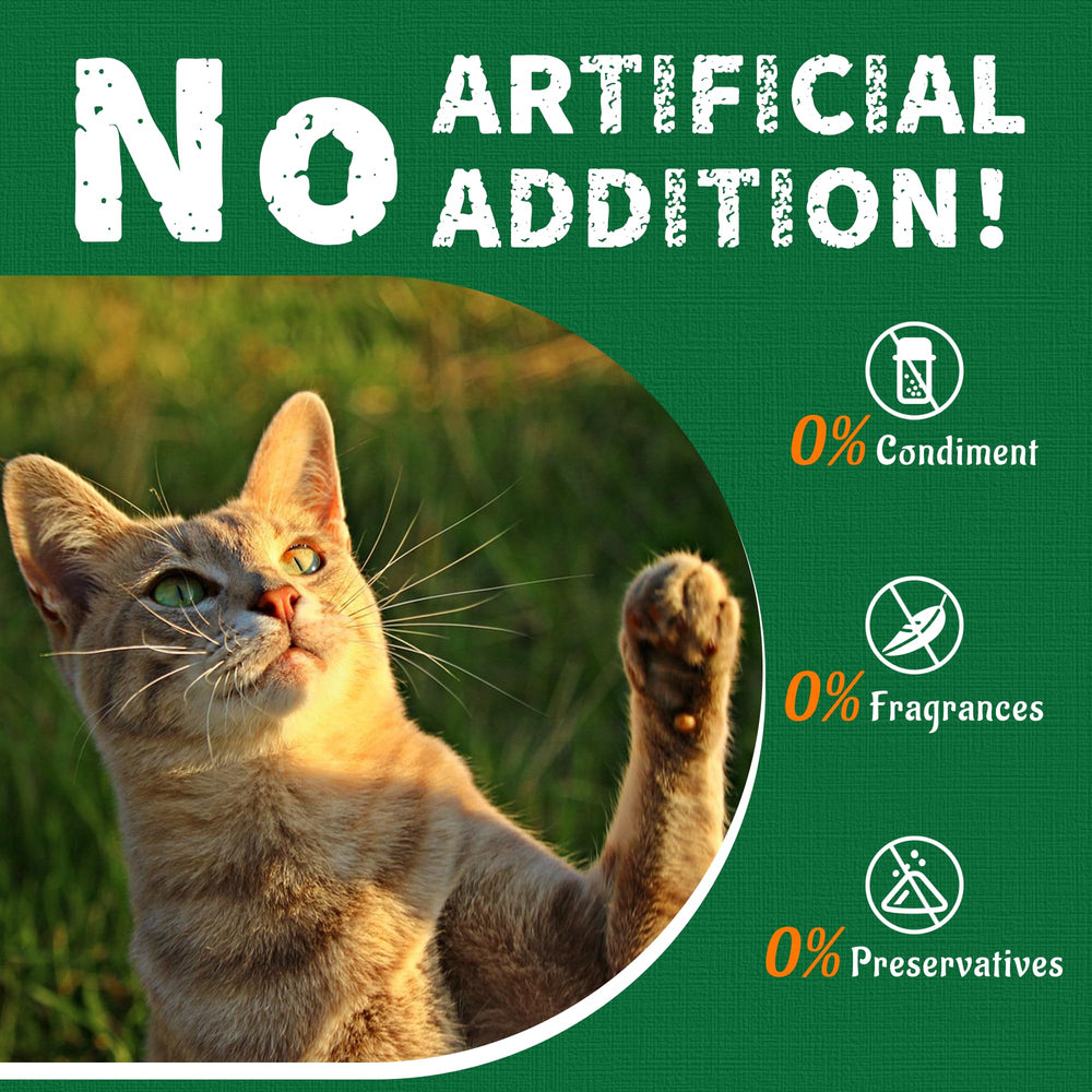 Utilisation quotidienne simple: Just Try dans la routine du chat.