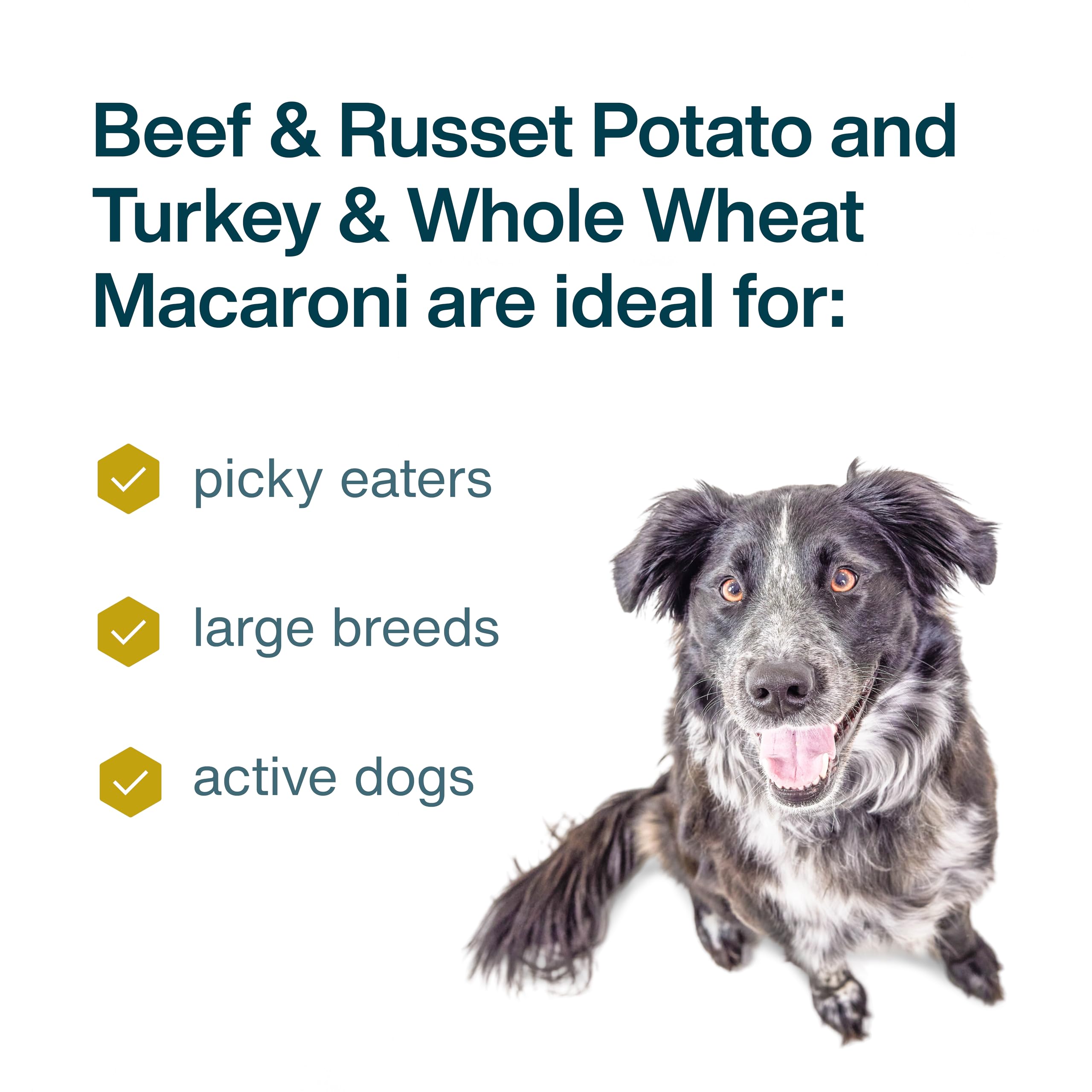 JustFoodForDogs dinde et macaroni, recette savoureuse prête à être servie.