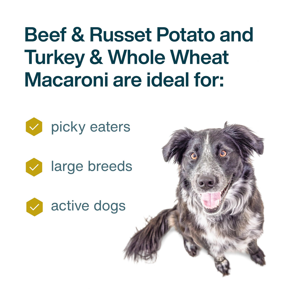 JustFoodForDogs dinde et macaroni, recette savoureuse prête à être servie.