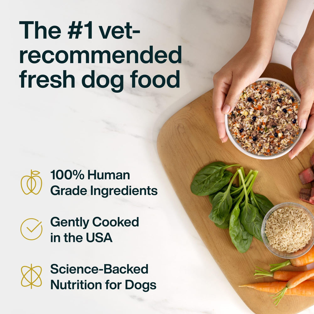 JustFoodForDogs emballage sans conservateurs, nourriture humide prête à l'emploi.