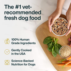 JustFoodForDogs emballage sans conservateurs, nourriture humide prête à l'emploi.