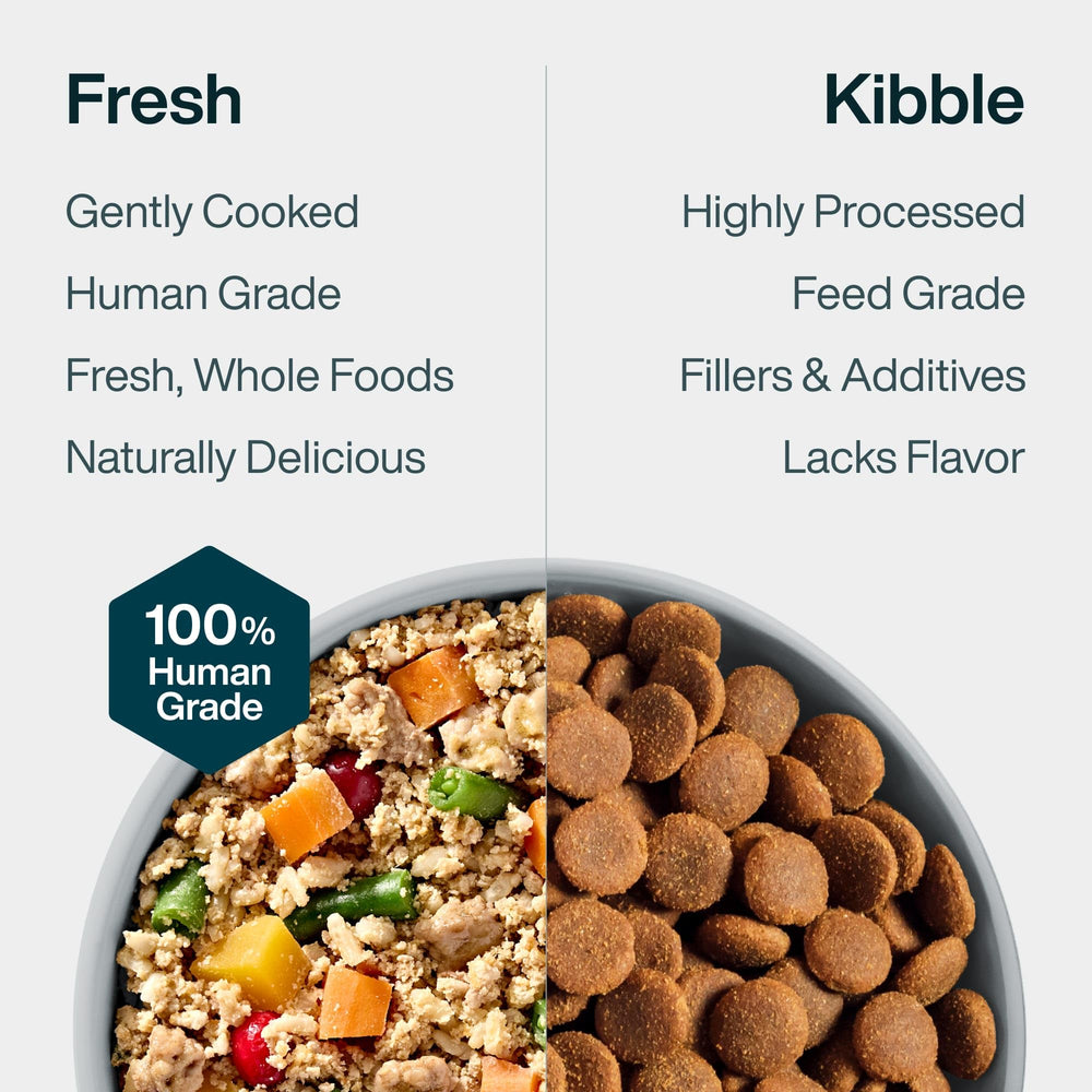 JustFoodForDogs format sachet 510 g, congélation longue et stockage pratique.