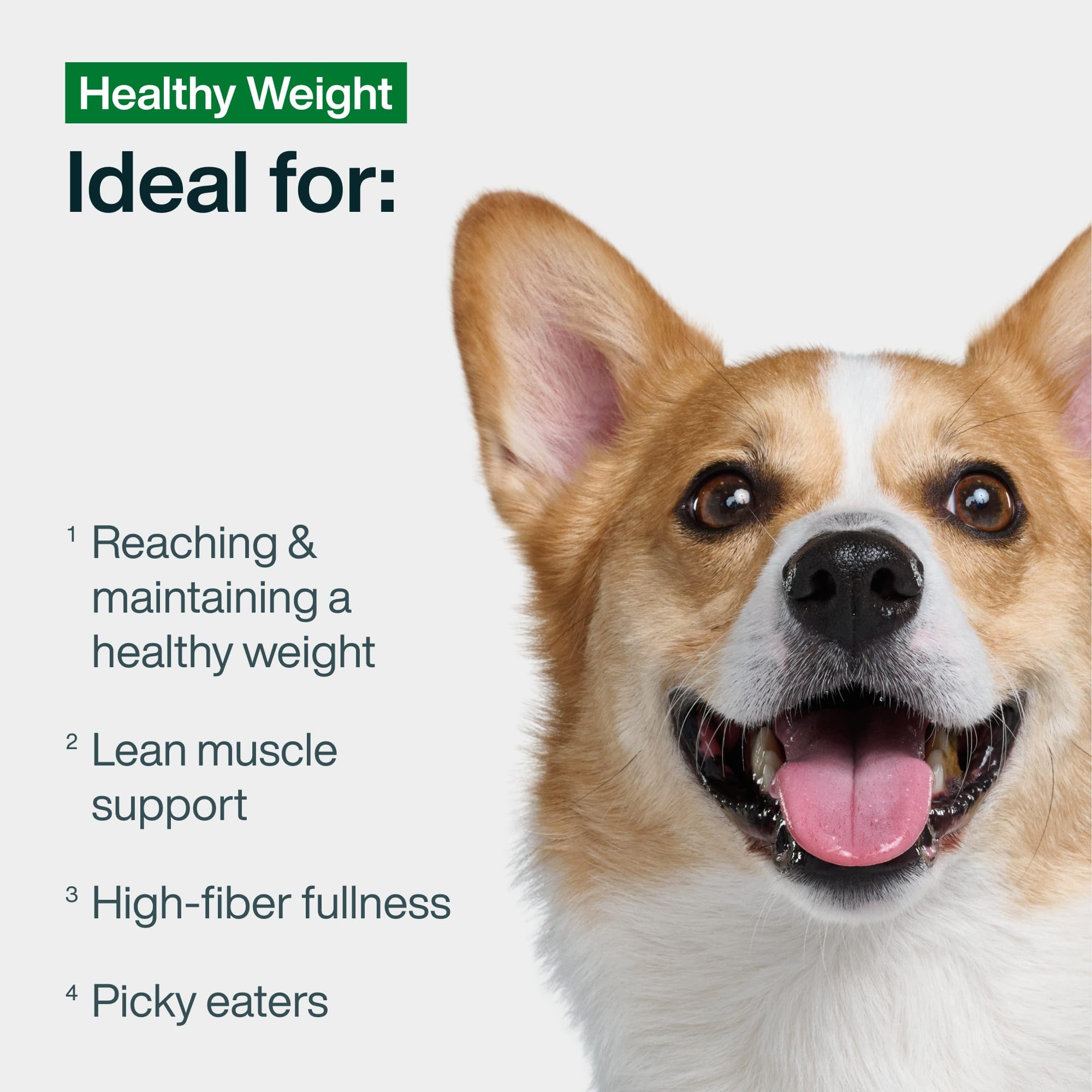 JustFoodForDogs sachet poulet poids équilibre, repas pratique pour chien actif.