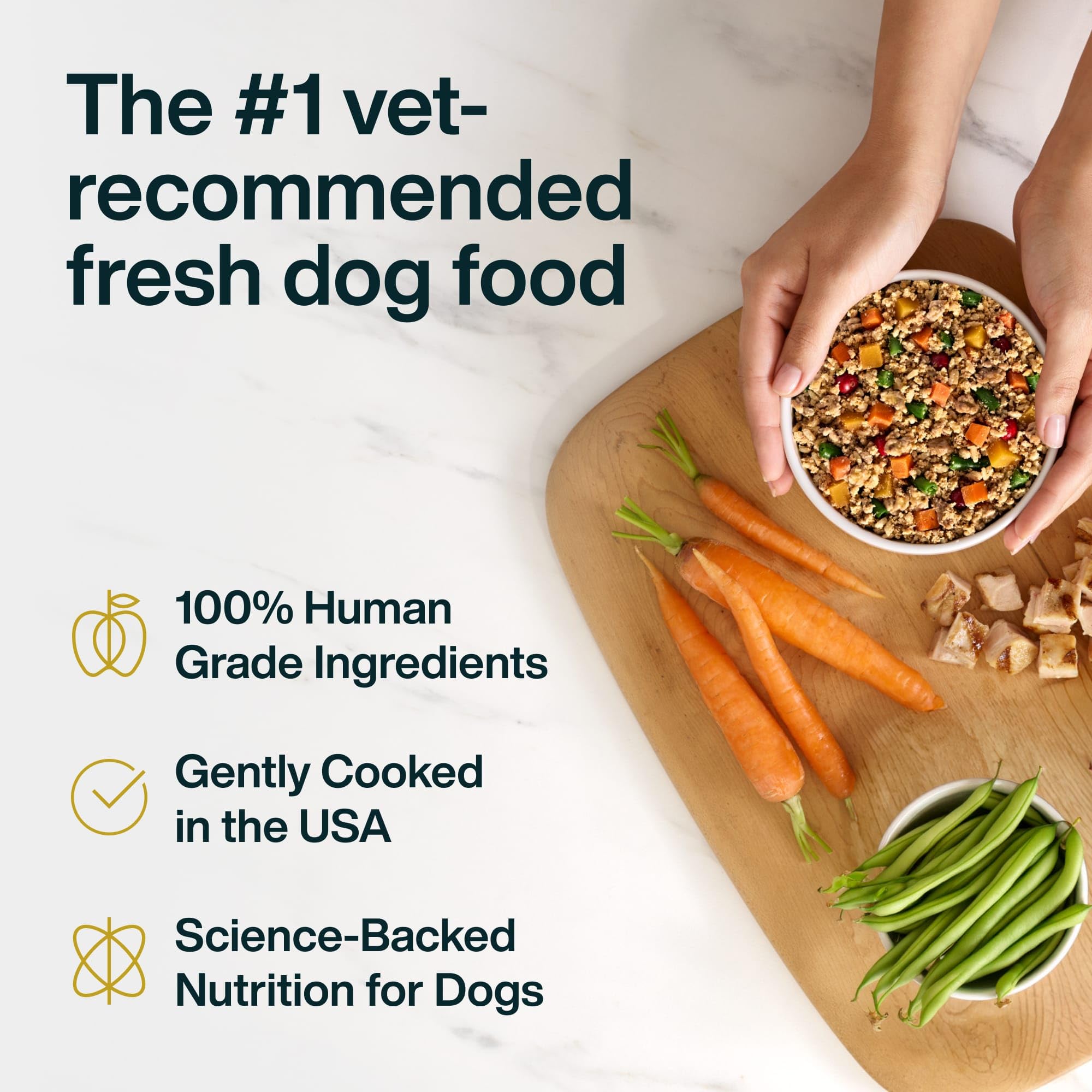 JustFoodForDogs venaison frais, facile à digérer et nourrissant.