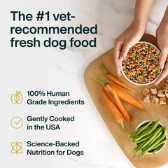 JustFoodForDogs venaison frais, facile à digérer et nourrissant.