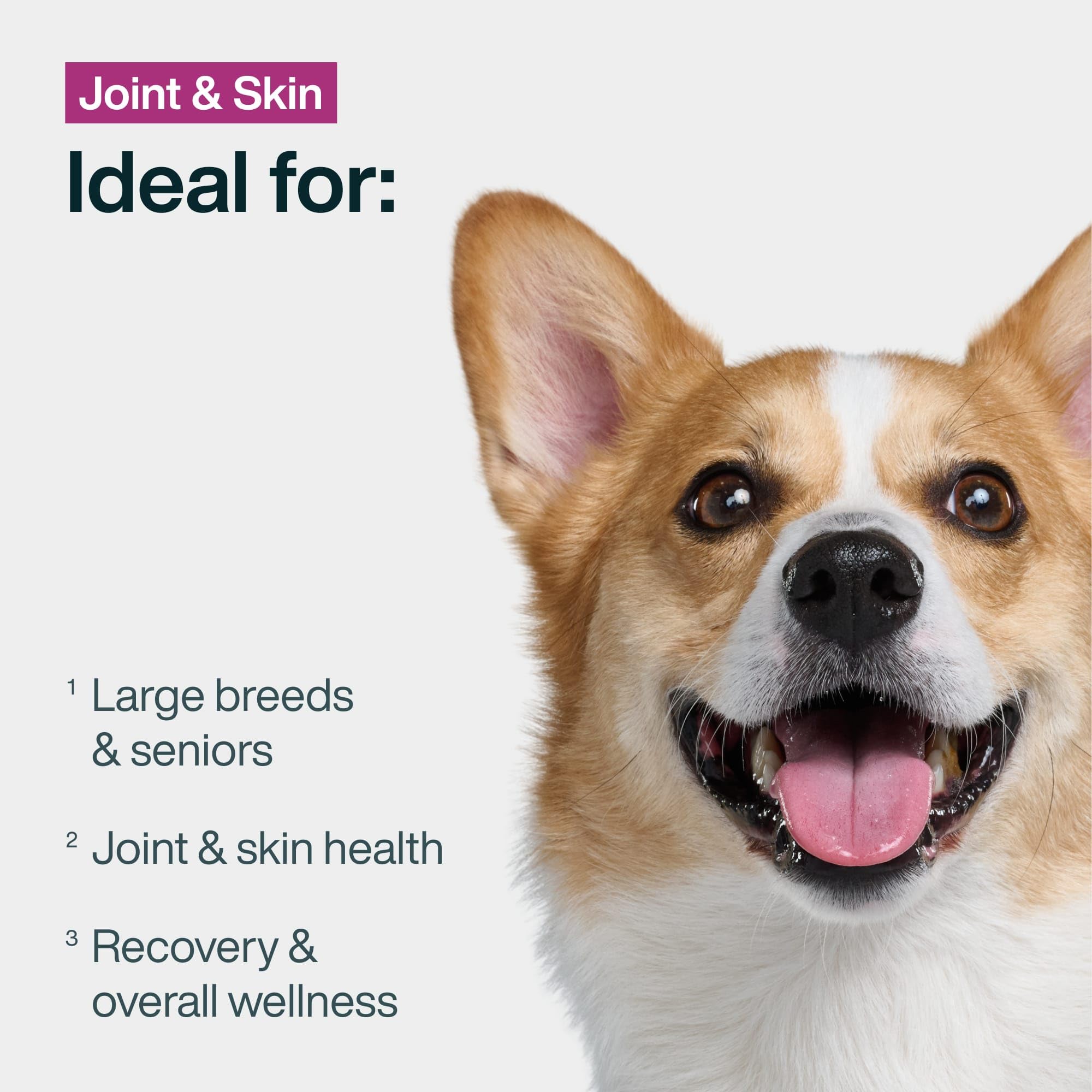 JustFoodForDogs: image peau sensible avec pelage potentiellement amélioré.