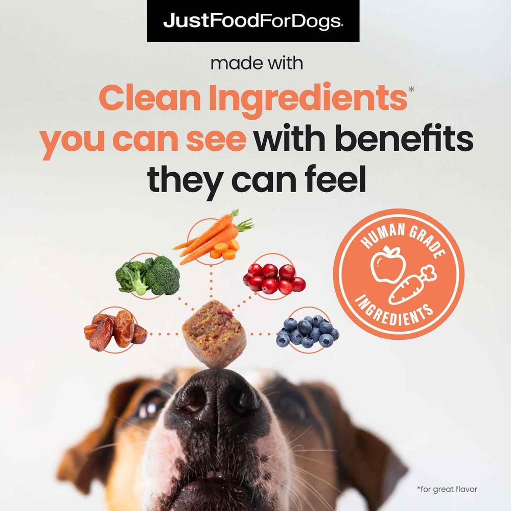 Glucosamine et chondroïtine JustFoodForDogs soutiennent les articulations.