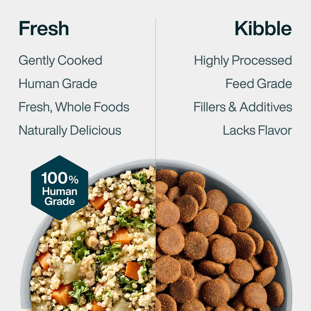 JustFoodForDogs Ingrédients frais – porc et quinoa pour une nutrition complète.