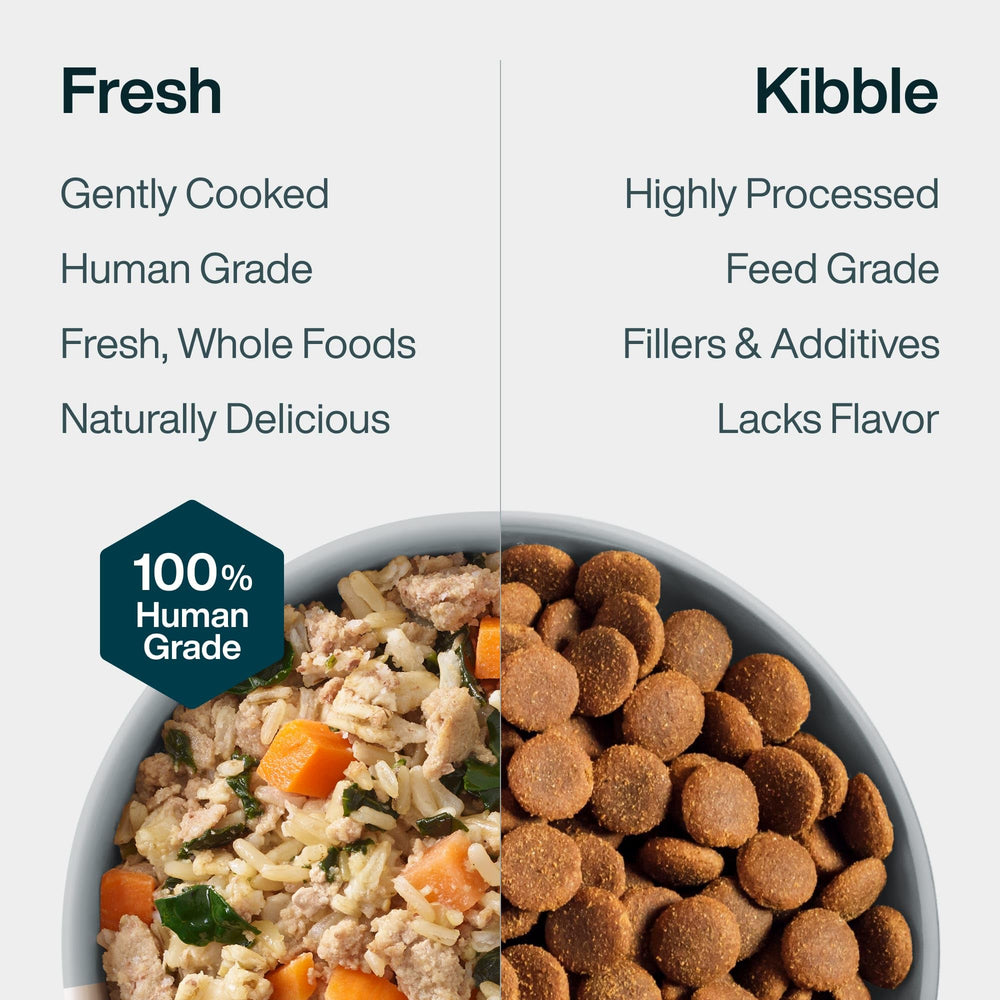 JustFoodForDogs JustFresh-assiette-nourrissante: texture tendre et goût agréable.