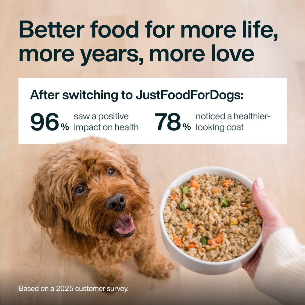 JustFoodForDogs JustFresh-bol-chien: présentation appétissante pour repas quotidien.