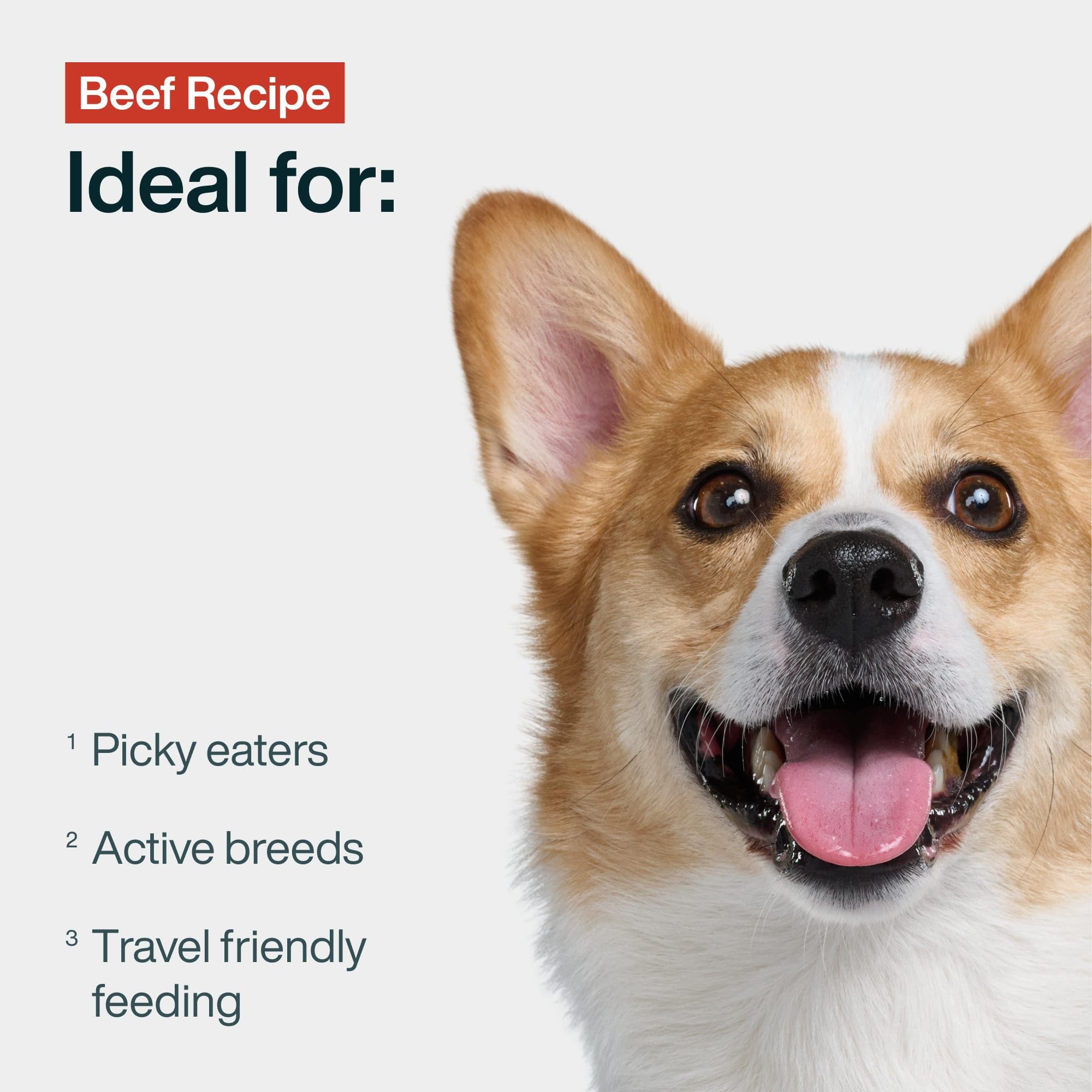 JustFoodForDogs JustFresh bol chien prêt à déguster.