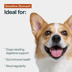 JustFoodForDogs JustFresh Boost fibres-digestives: fibre naturelle pour le transit.