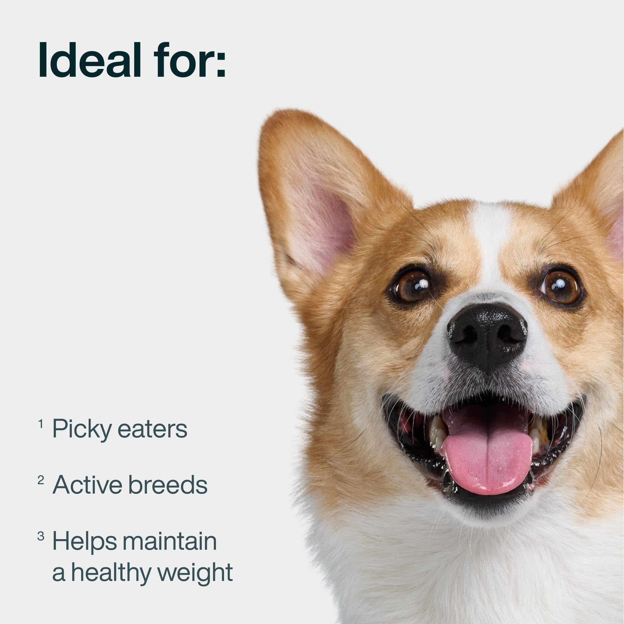 JustFoodForDogs JustFresh – ingrédients frais, qualité humaine, pour repas nourrissants et digestes