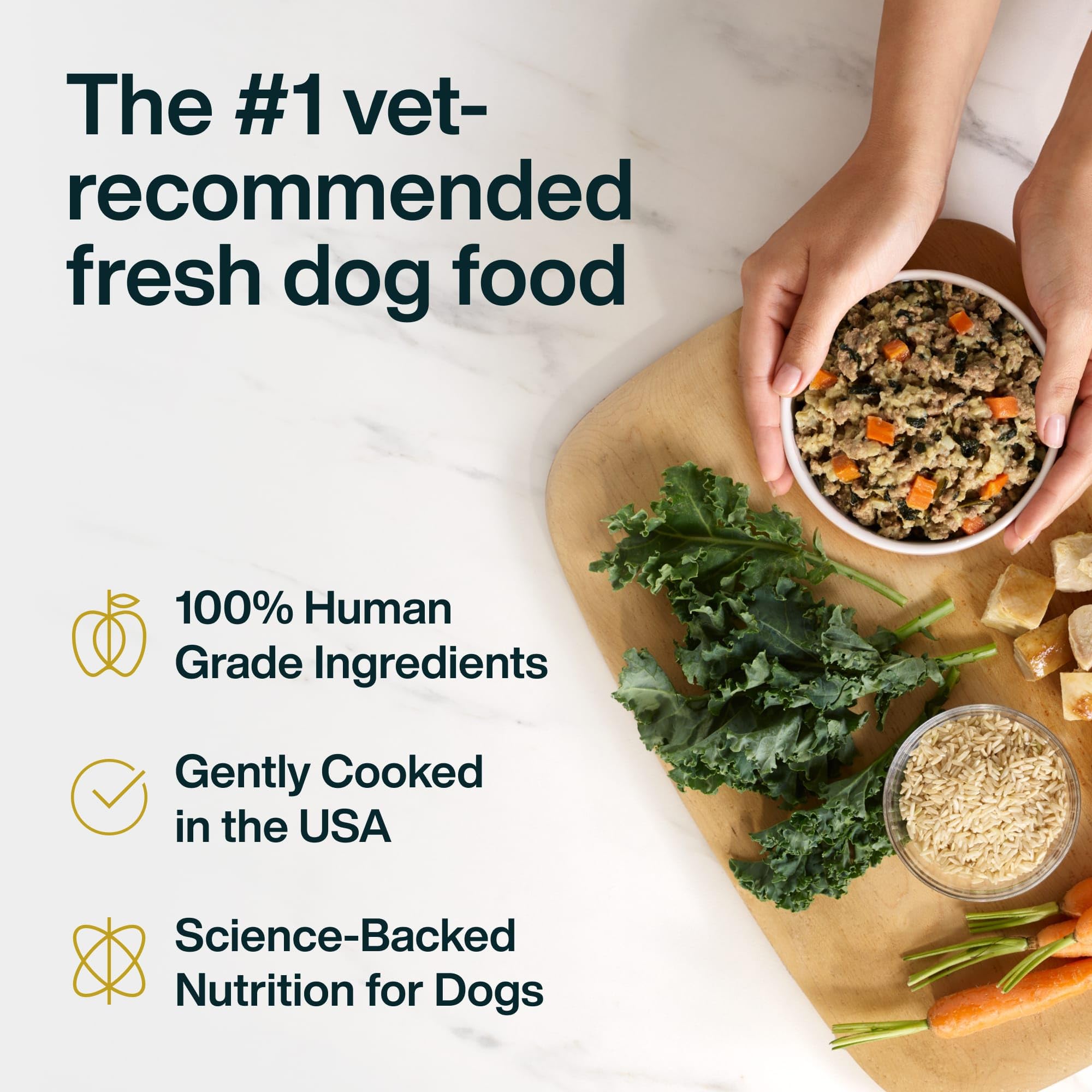 JustFoodForDogs JustFresh plat dinde humide – option repas prêt à servir.