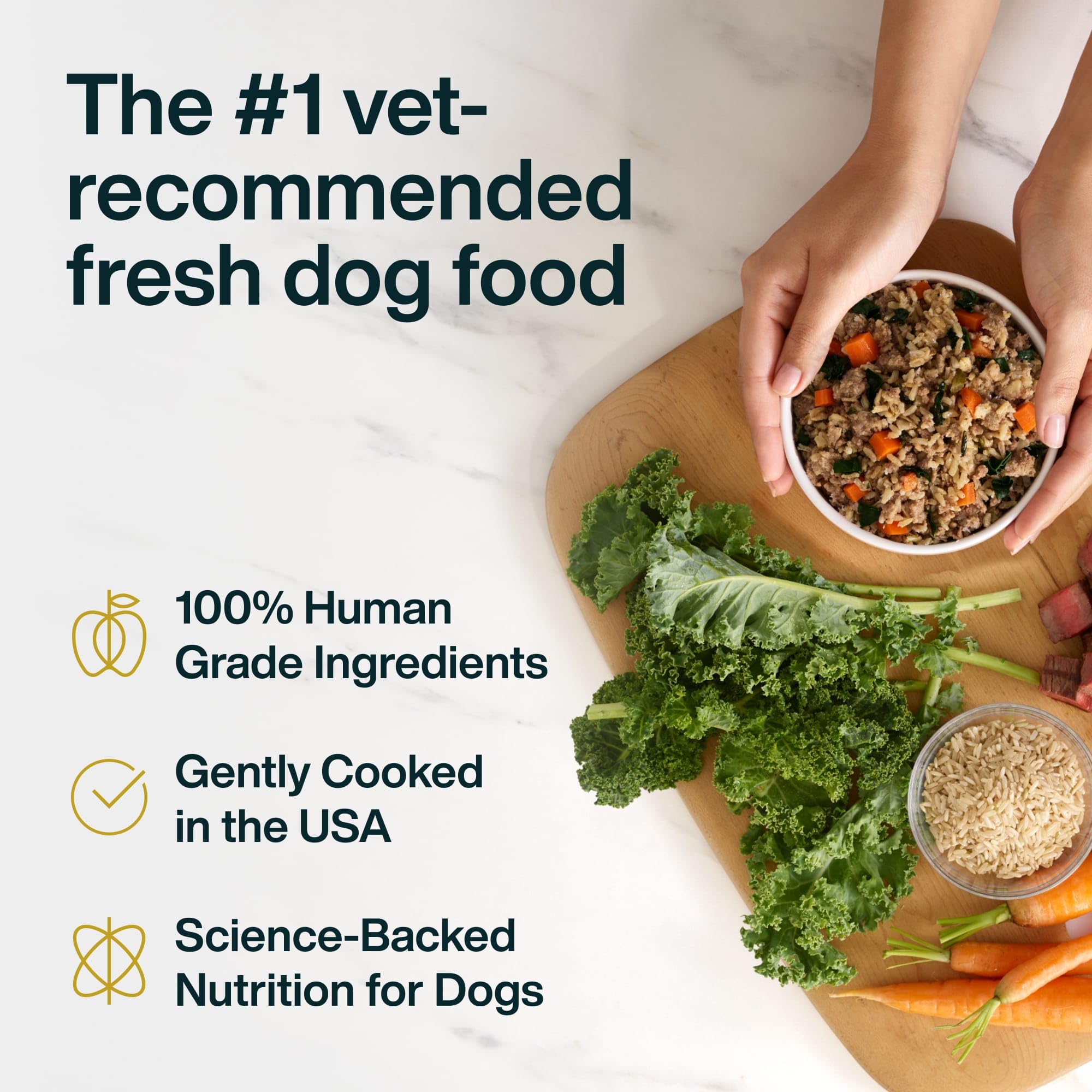 JustFoodForDogs JustFresh porc maison 340 g, repas complet et appétissant pour chien.