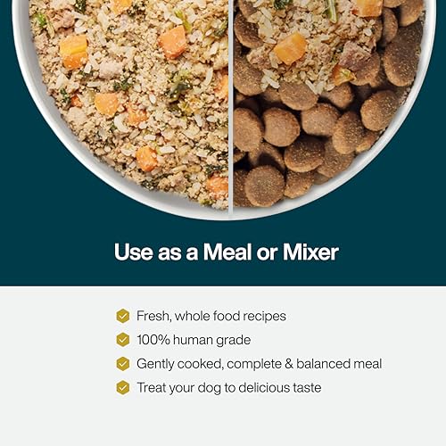 JustFoodForDogs expérience repas variée – alternative saine et pratique.