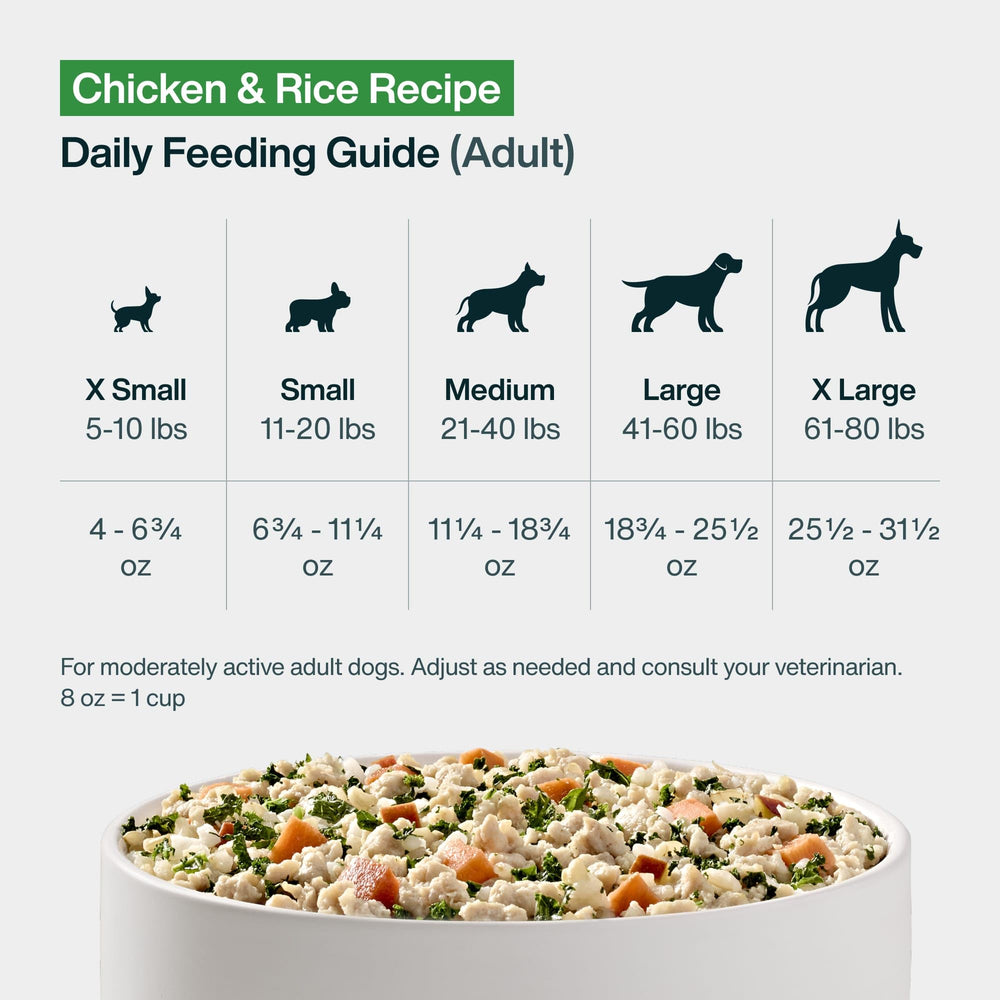 JustFoodForDogs nourriture fraîche – formule adaptée aux chiens.