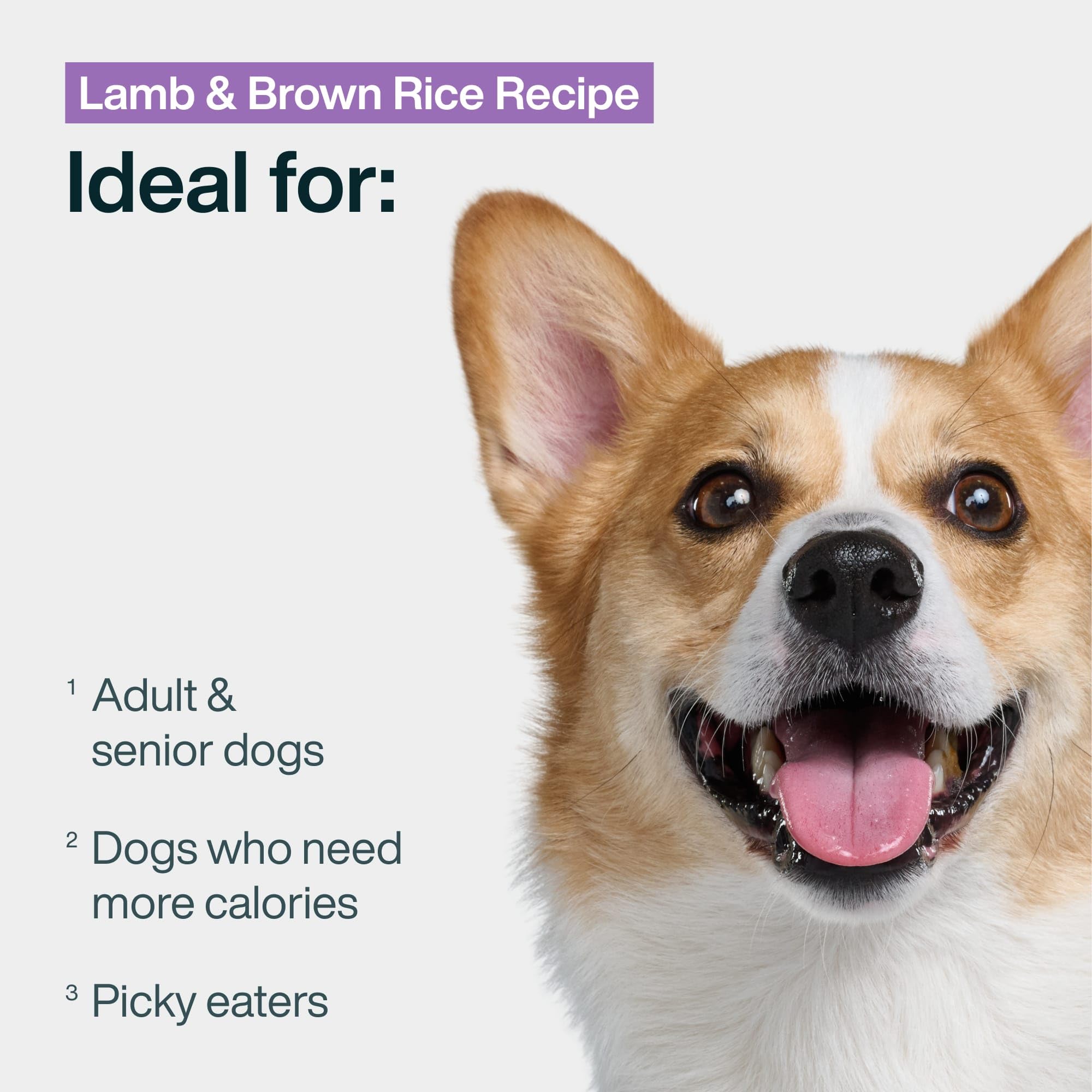 JustFoodForDogs morceaux naturels agneau riz brun, texture tendre et ingrédients frais.