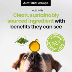 JustFoodForDogs Omega-3 pour chiens, articulations—mobilité et confort potentiels.