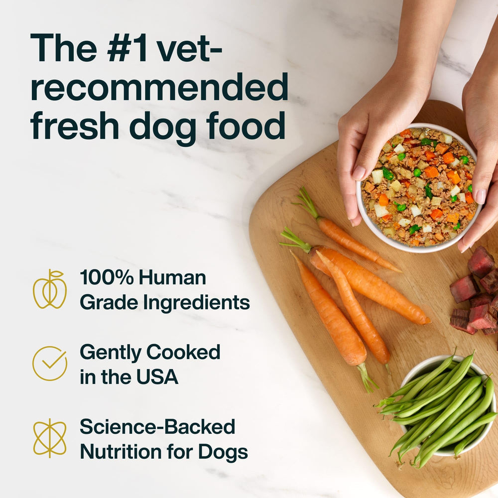 JustFoodForDogs Panier Frais Boeuf – texture riche et appétissante.