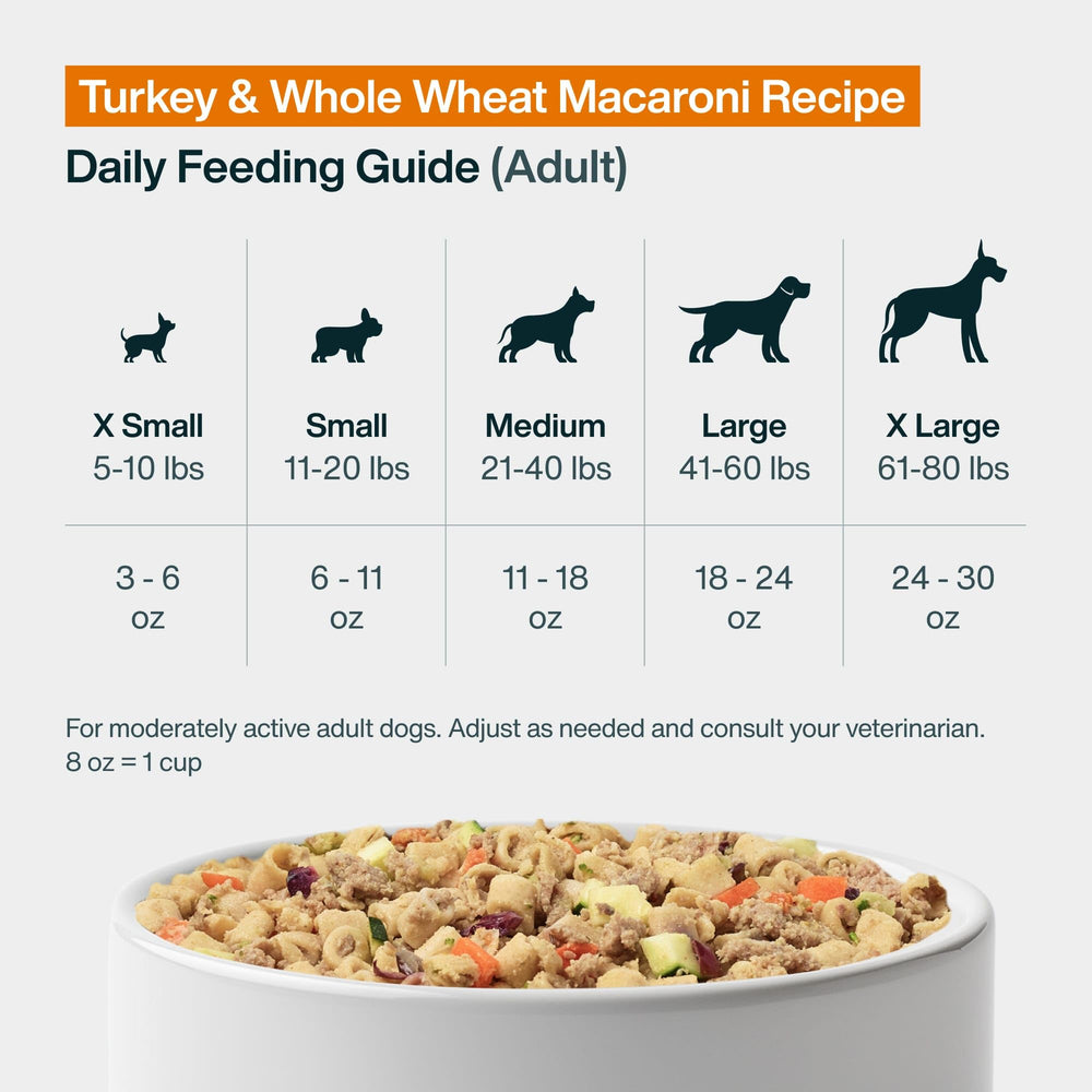 JustFoodForDogs Panier Frais Dinde et Macaroni Complet, option économique et pratique.