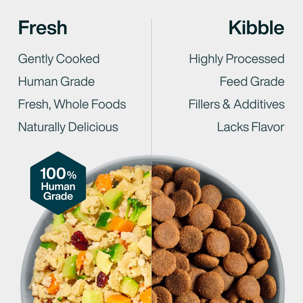 JustFoodForDogs Panier Frais Dinde et Macaroni Complet, ingrédients frais et sûrs.