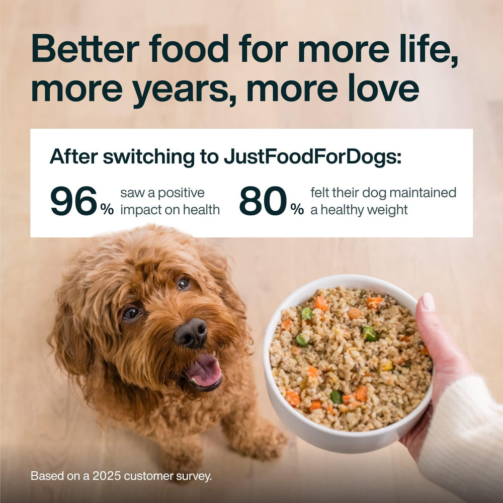 JustFoodForDogs Panier Frais Poulet – protéines savoureuses et digestes.