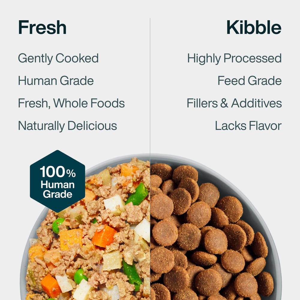 JustFoodForDogs Panier Frais Poulet – idéal comme repas équilibré ou ajout nutritionnel.