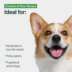 JustFoodForDogs Panier Frais servi dans une assiette appétissante.