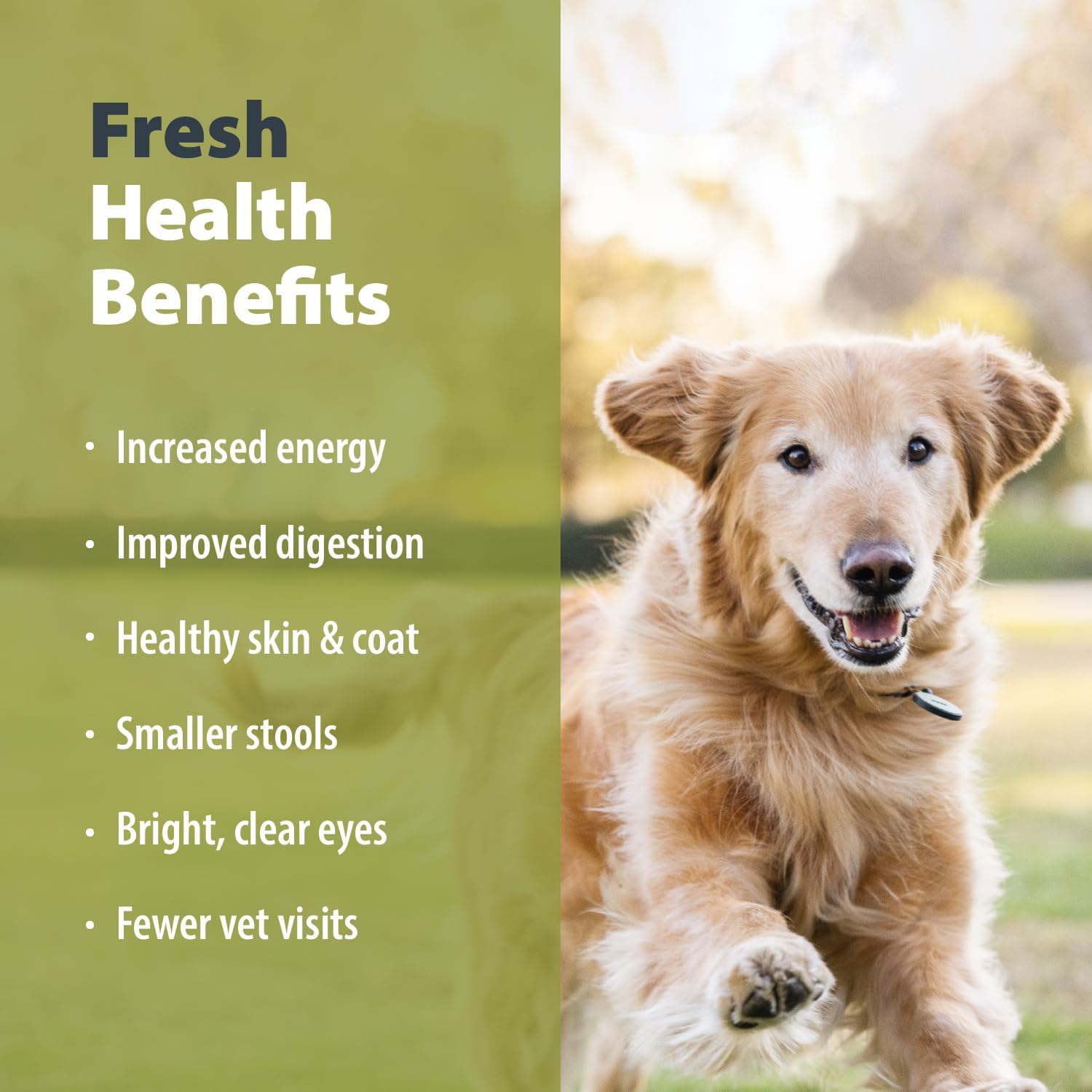 JustFoodForDogs Pantry Fresh chien mangeant, repas complet prêt à servir.
