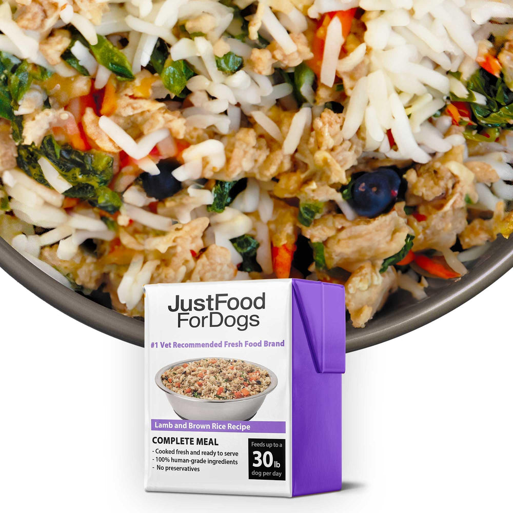 JustFoodForDogs Pantry Fresh emballage avant, plat humide à base d'agneau et riz brun.