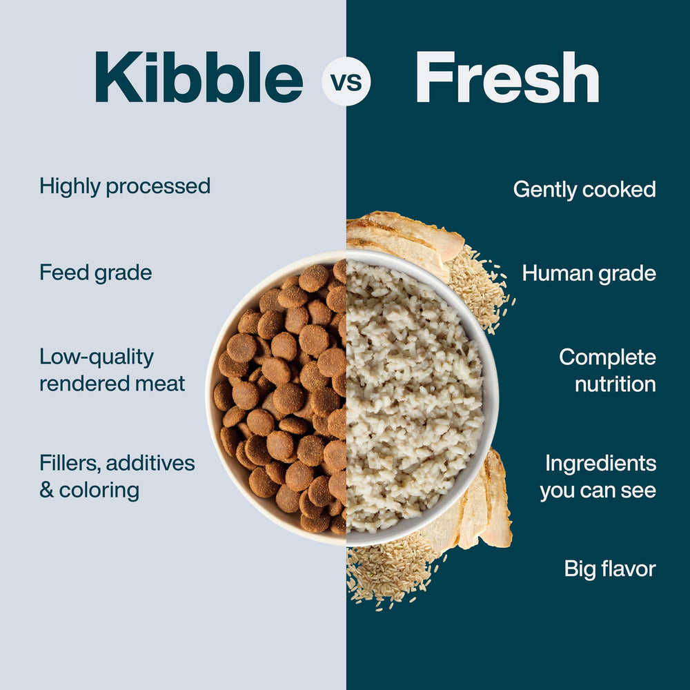 JustFoodForDogs Pantry Fresh sans conservateurs, préparation naturelle
