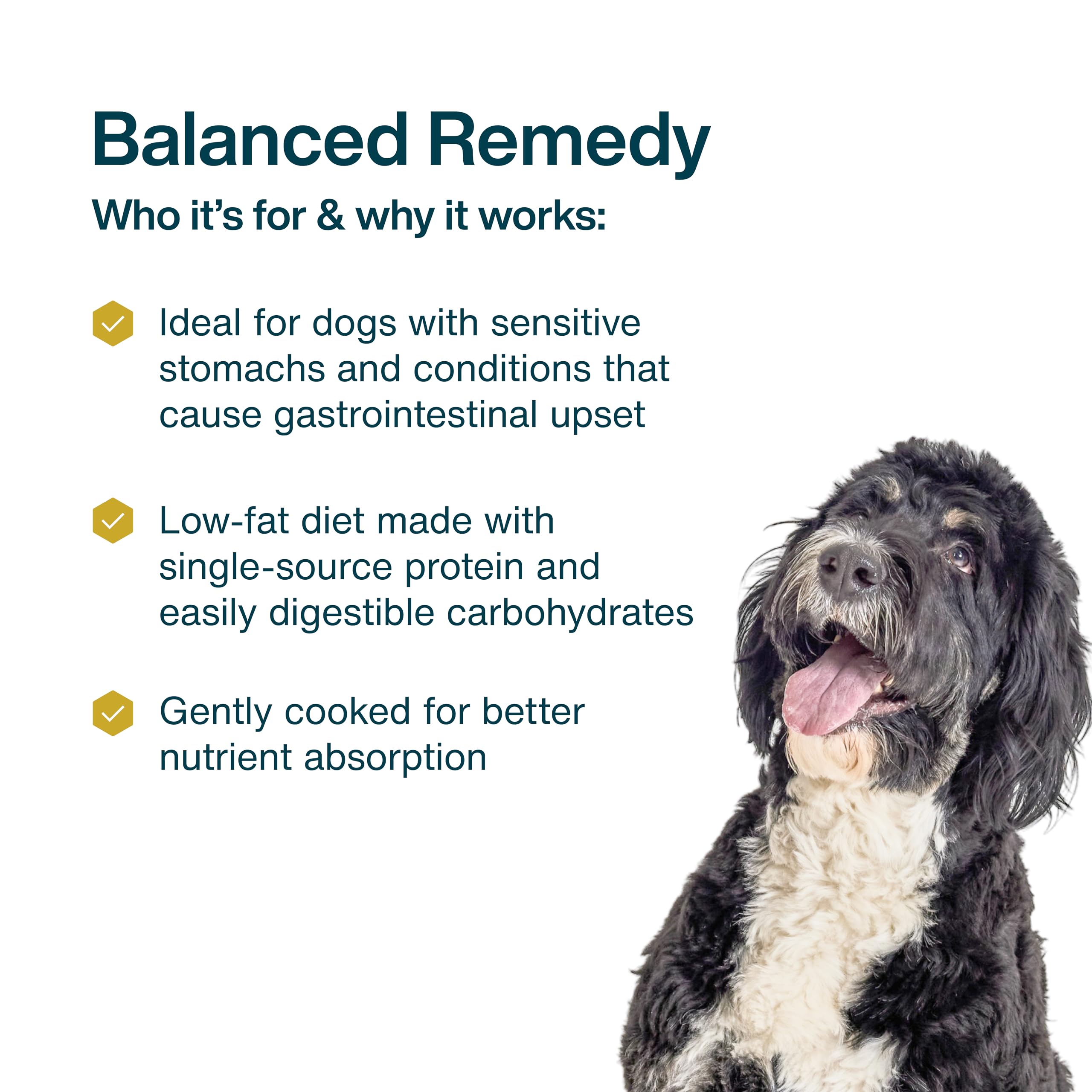 JustFoodForDogs Pantry Fresh texture moelleuse lors du repas
