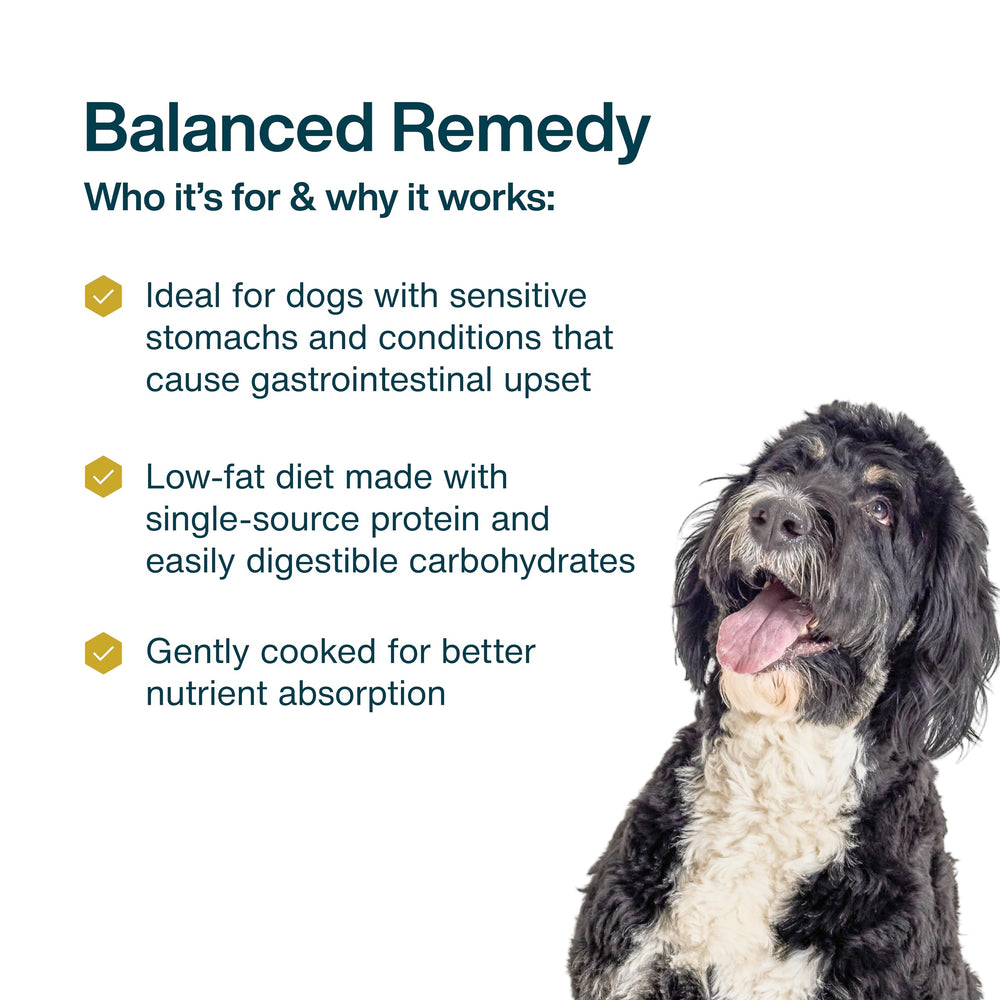 JustFoodForDogs Pantry Fresh texture moelleuse lors du repas