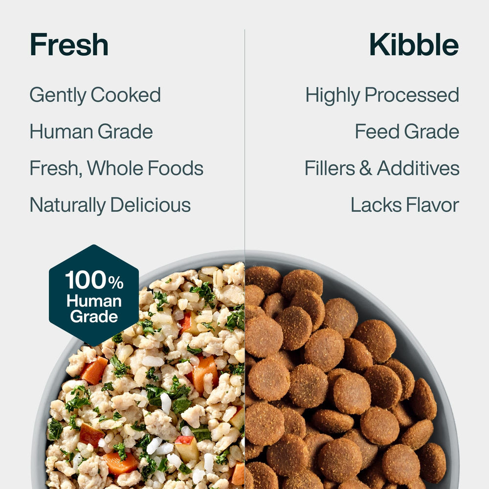 JustFoodForDogs repas complet – chien gourmand apprécie.