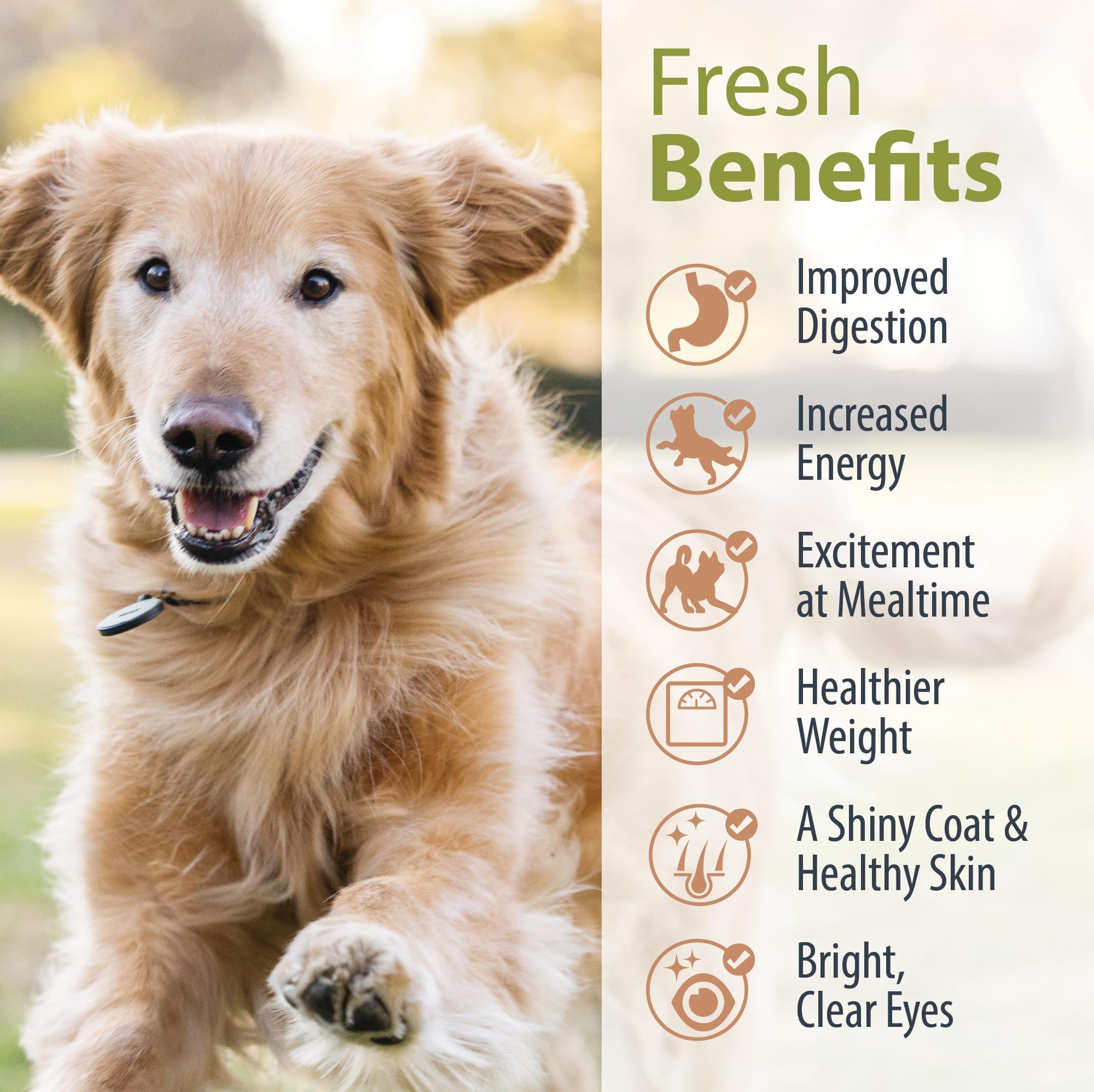 JustFoodForDogs Plan-courses-repas-chien: guide pratique pour cuisiner chez soi.