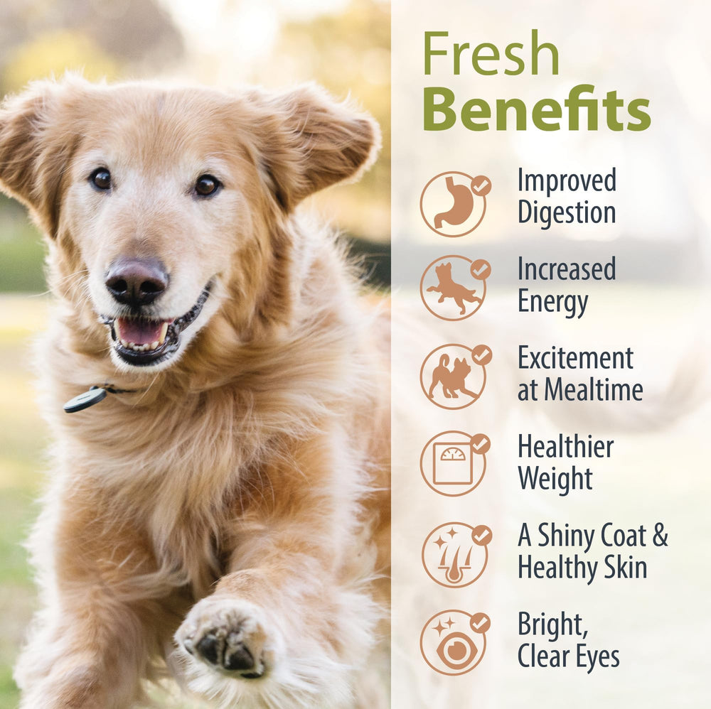 JustFoodForDogs Plan-courses-repas-chien: guide pratique pour cuisiner chez soi.