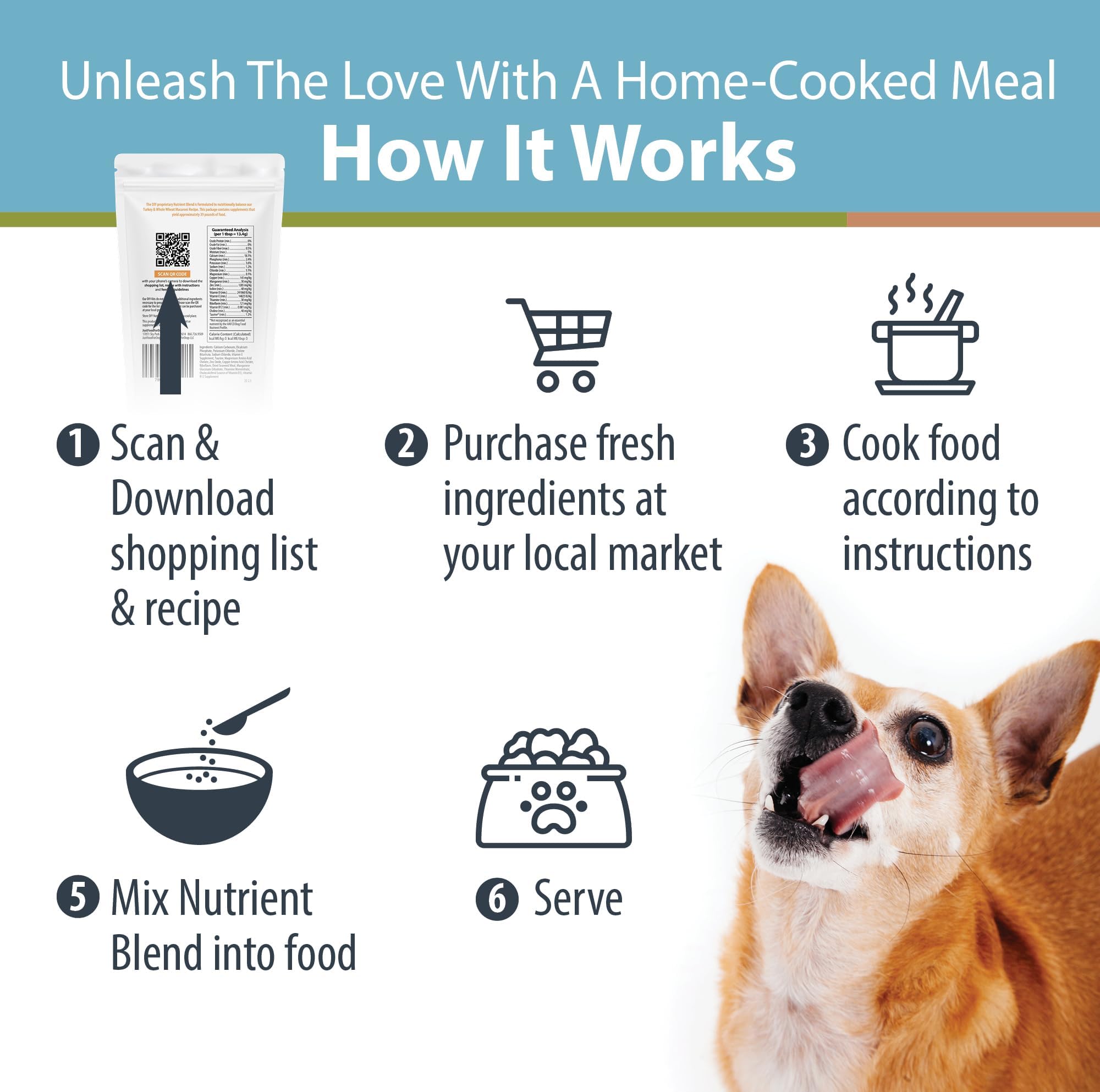 JustFoodForDogs Bol-repas-chien: plat appétissant pour encourager une bonne alimentation.