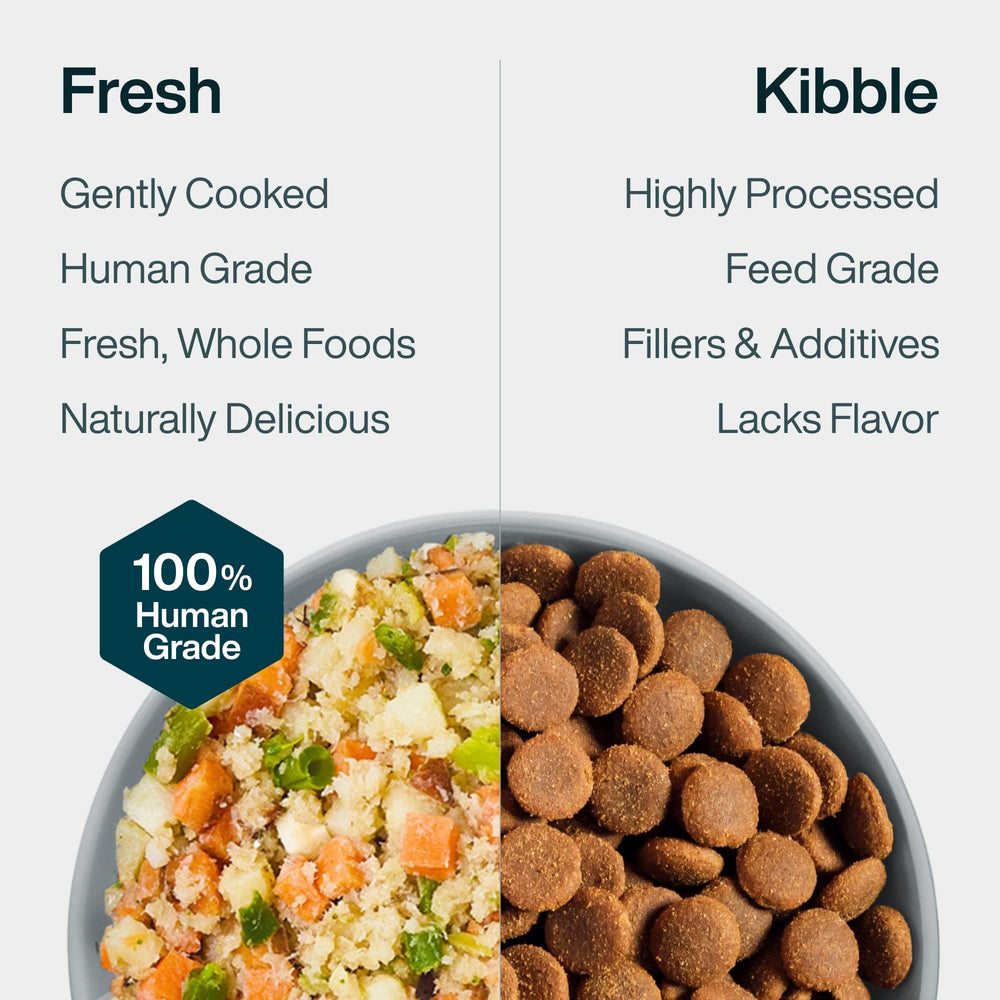 JustFoodForDogs portion poisson patate douce – alimentation équilibrée