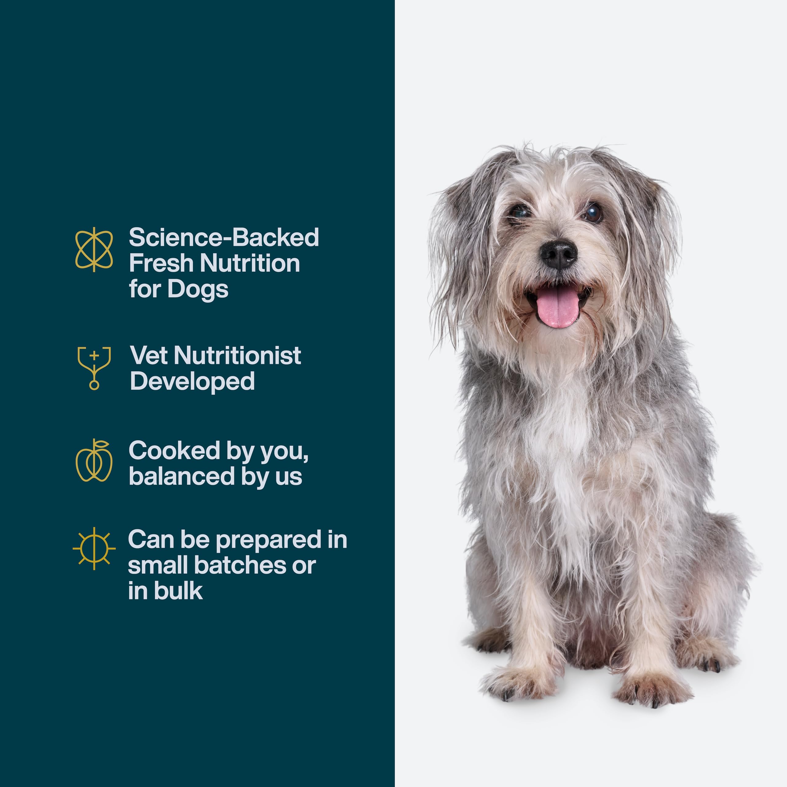 Dinde et pâtes blé entier JustFoodForDogs, repas actif.