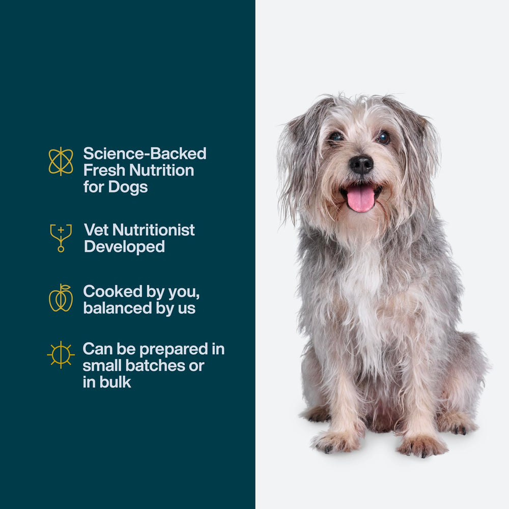 Dinde et pâtes blé entier JustFoodForDogs, repas actif.