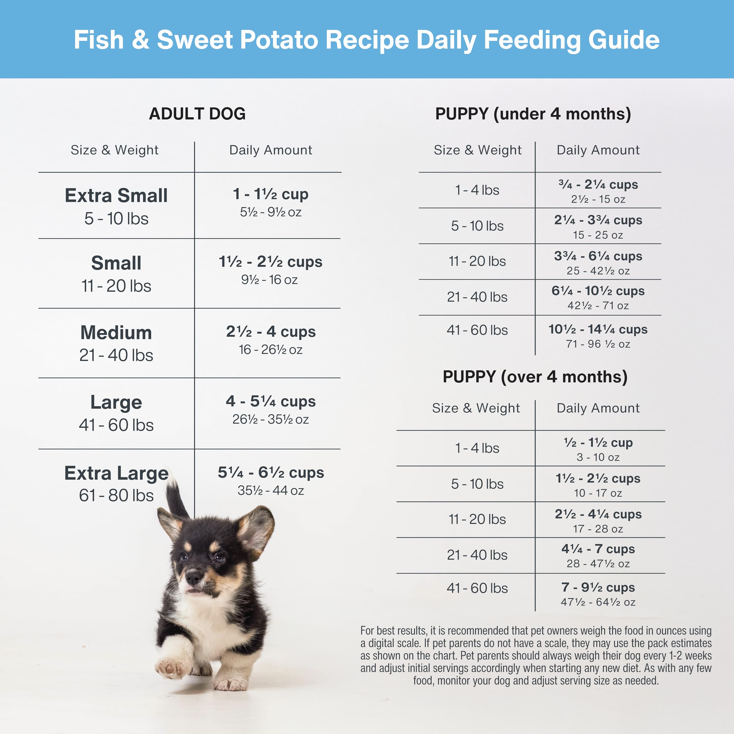 Poisson et patate douce JustFoodForDogs, option légère et savoureuse.