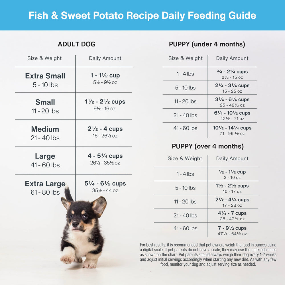 Poisson et patate douce JustFoodForDogs, option légère et savoureuse.