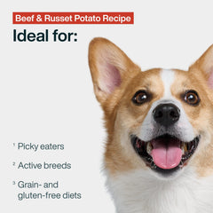 JustFoodForDogs repas complet – boeuf et patates russet, nutrition équilibrée.
